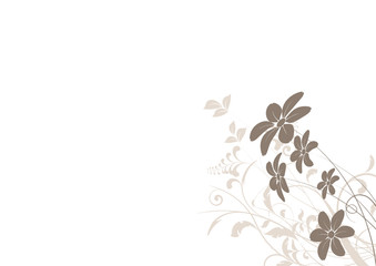 vecteur série - marguerite - fleur vectoriel sur fond blanc