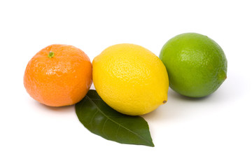 Tangerine, lemon and lime isolaten on white