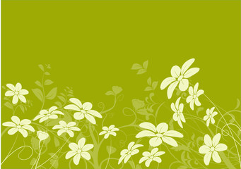 vecteur série - marguerite - fleur vectoriel sur fond vert - obrazy, fototapety, plakaty