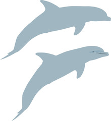 Dolphin