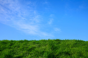 Grass bank and a blue sky.