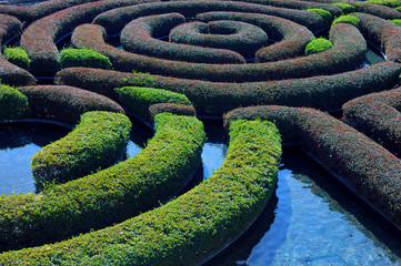 Interesting Image of a complicated Hedge Garden