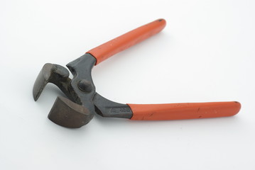 Fototapeta premium Zange