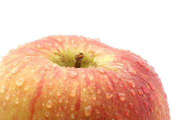 Apple. macro