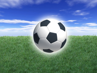 Fototapeta premium pallone da calcio