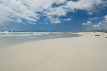 Fototapeta premium tortuga beach, galapagos islands, ecuador