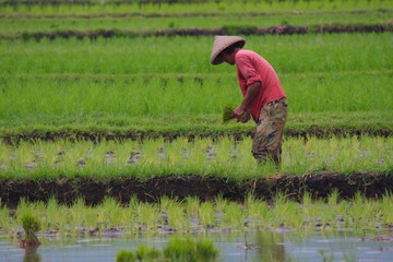 Lombok 268 © Siegfried Schnepf