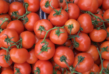 Tomatoes on the vine in a market stall.