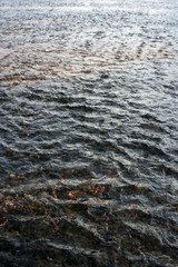 Water Texture 2
