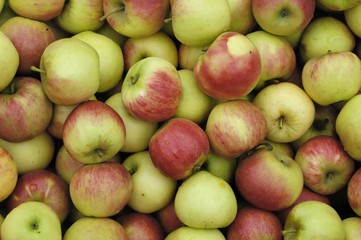 pommes