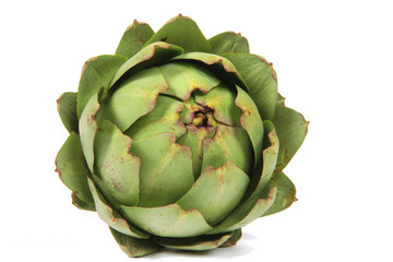 Fototapeta premium Artichaut