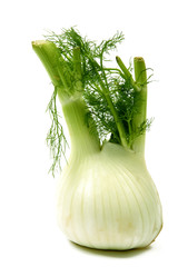 fenouil