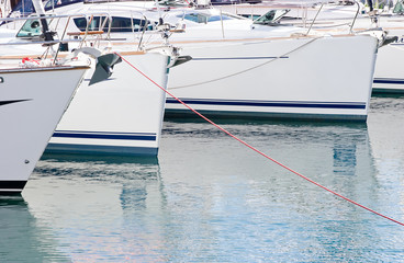 A number of luxury boats moored in a marina