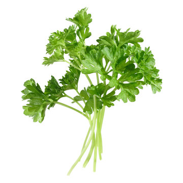 small bunch of parsley