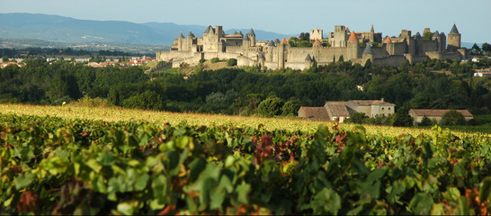 chateau de carcassonne - 6471517