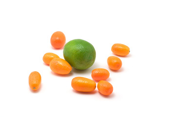 kumquats and lime on white background