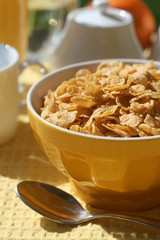 Breakfast Cereal