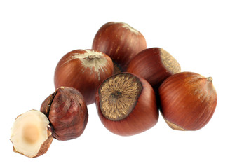 Obraz premium Hazel nut group isolated on white background