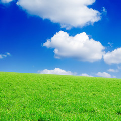 Obraz na płótnie Canvas Green spring field and beautiful white fluffy clouds.