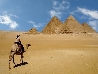 the pyramids © Horticulture