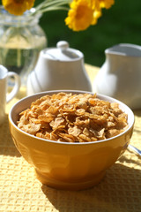 Breakfast Cereal