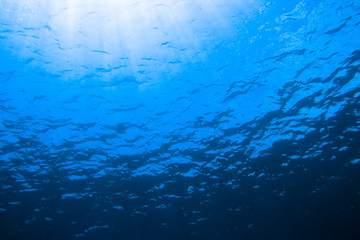 Fototapeta na wymiar Underwater scene with sunlight through the water