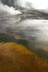 Yellowstone Geyser Thermal Feature