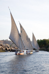 Fototapeta premium Felucca down the Nile