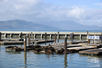 Pier 39
