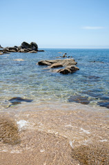 Fototapeta na wymiar Sea coast in summer day.