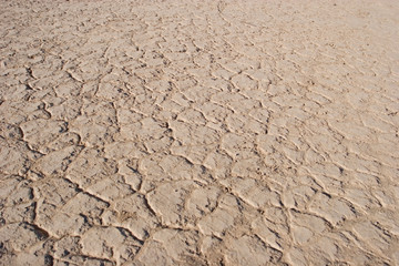 Cracked earth texture or background