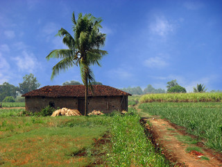 Farmhouse PAth