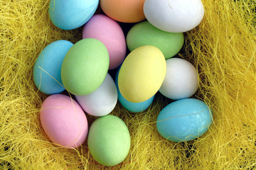 Fototapeta na wymiar uova in nido