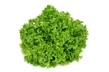 Isolated lettuce