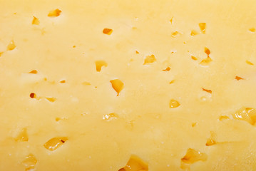 cheese background
