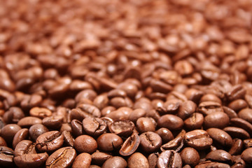 Close up of scattered coffee beans.
