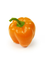 Bulgarian orange pepper