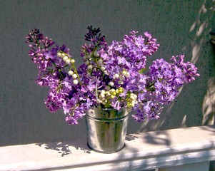 Fototapeta premium Blumeneimerchen 7 