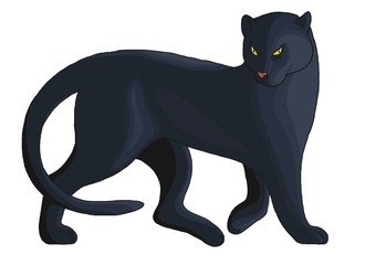 pantera_nera © Piumadaquila.it