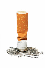 Cigarette Butt