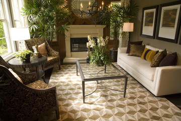 Luxury home living room with contemporary decor.