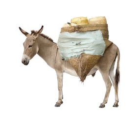 Zelfklevend Fotobehang donkey carrying supplies © Eric Isselée