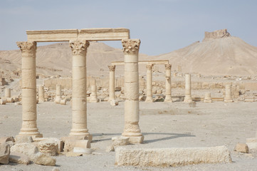 Palmira