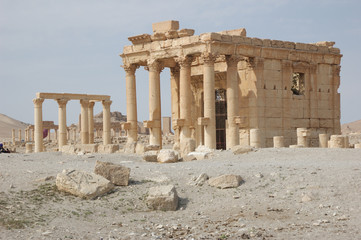 Fototapeta premium Palmira