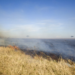 Fire at Masai mara Kenya