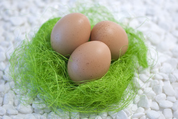 Eggs and green straw