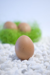 Eggs and green straw