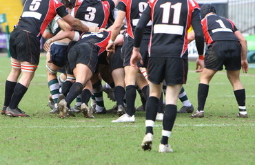 rugby