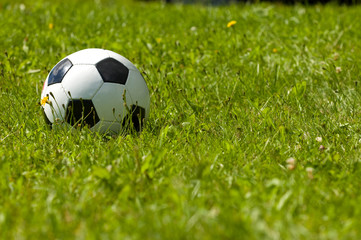 Soccer ball on a sunny meadow
