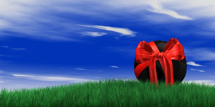 Fussball in der Natur